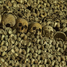A wall of skulls, bones and skeletons in the Catacombs ossuaries.