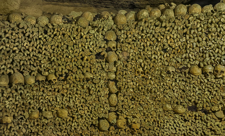 Human craniums, femurs and fibula arranged on a wall in the Catacombs.