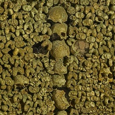 Des crânes humains, fémurs et fibula disposés sur un mur dans les Catacombes.