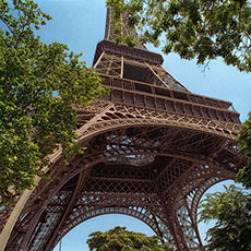 La façade sud-ouest de la tour Eiffel vue du jardin du Champ-de-Mars.