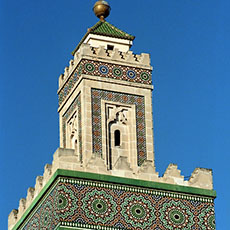 The tower of the Great Mosque of Paris.