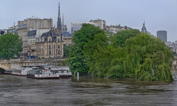 Le square du Vert-Galant sur la pointe occidentale de l’île de la Cité couvert par les crues de la Seine de juin 2016.
