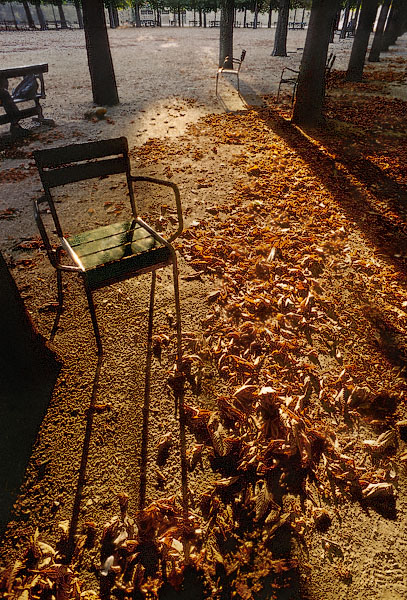 A park chair in the Tuileries Gardens in Autumn.