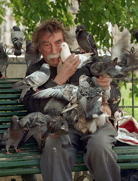 An elderly man on île de la Cité with a dozen pigeons on him.
