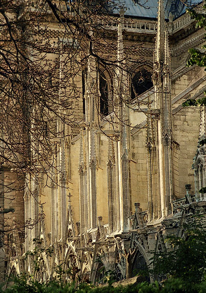 Notre-Dame’s flying buttresses on the church’s southern façade.