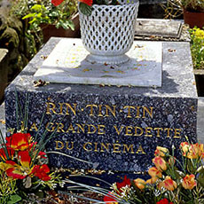 Le tombeau de Rin Tin Tin dans le cimetière animalier à Asnières.