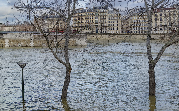 L’île de la Cité et île Saint-Louis vues de la Rive gauche lors des crues de la Seine en janvier 2018.