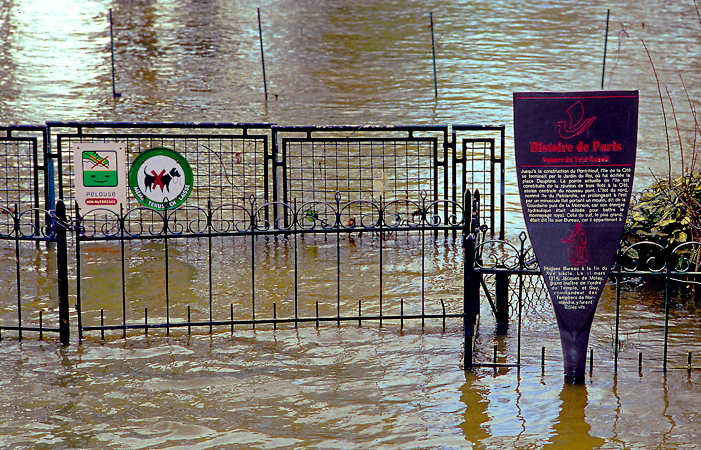 Square du Vert-Galant covered by the floods of the River Seine.