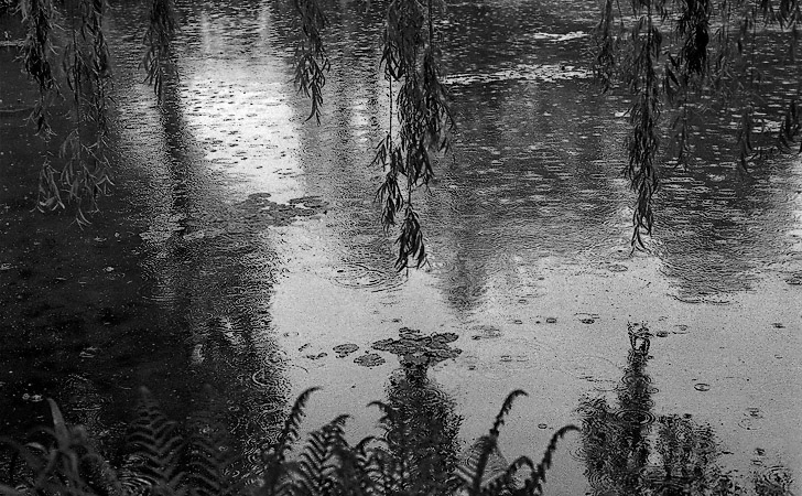 Un étang dans les jardins de Claude Monet à Giverny.