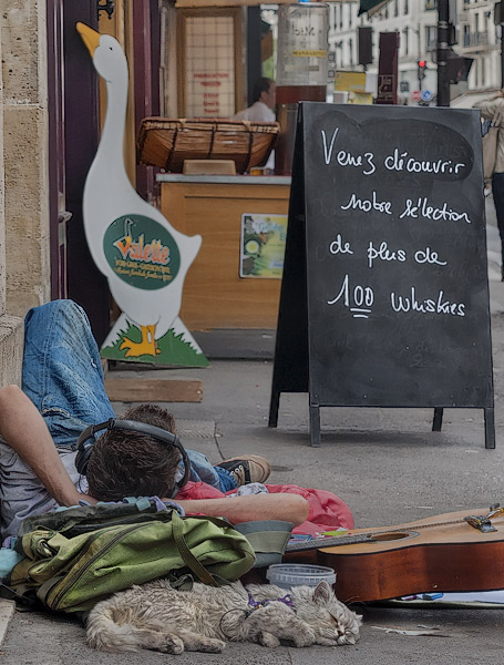 A young man dozing on the sidewalk in front of the Julien de Savignac liquor store with his sleeping bag, guitar and mangy cat on a leash.