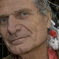 Mr. Rozberg is often seen walking around with his rats on his shoulder at the Marché aux Oiseaux on Sundays, when the Flower Market becomes the Bird Market.