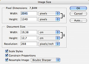 The “Image Size” dialog box in Photoshop.