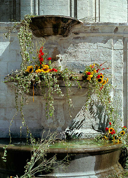 A fountain of flowers in front of the Palais des Papes.