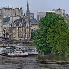 Le square du Vert-Galant sur la pointe occidentale de l’île de la Cité couvert par les crues de la Seine de juin 2016.