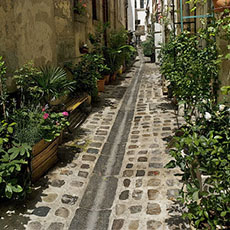 L’impasse du Bœuf, an alleyway off rue Saint-Mérri.