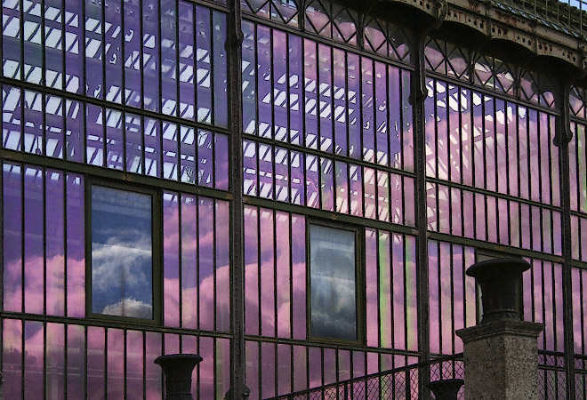 Reflections on the windows of the Mexican Greenhouse in the jardin des Plantes.