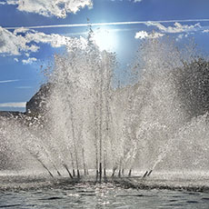Water spouting from the fountain in the gardens of the Palais-Royal.