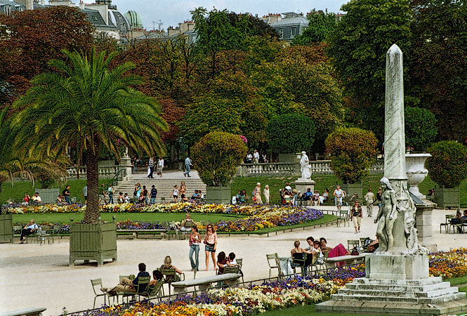 Palm trees, flowers and sculptures in the Luxembourg Gardens.