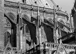 Cathdrale Notre-Dame set fra neden pont au Runde, Paris