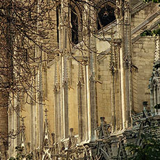Flying buttresses on the southern façade of Notre-Dame.