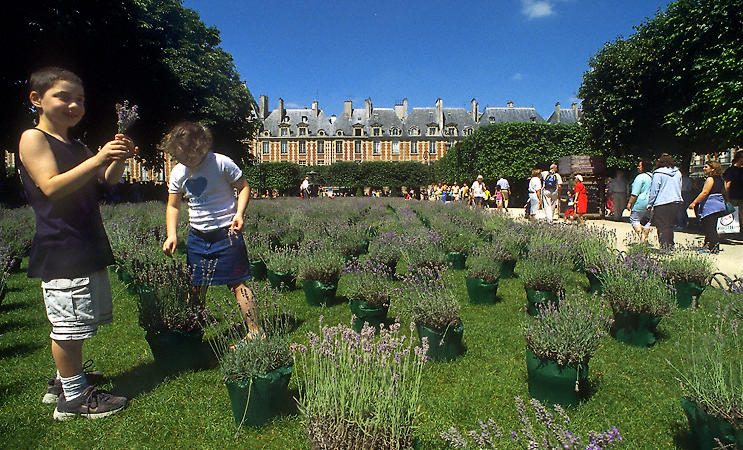Place des Vosges planted with pots of lavender plants in 2001.