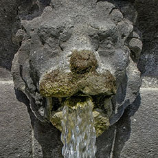 Une sculpture d’une tête de lion sur une fontaine dans le square Louis XIII.