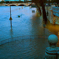 Vaktel d’Orsay, i löpet av högvatten av Marschen, 2001
