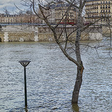 Île de la Cité and île Saint-Louis during the River Seine flood of January 2018