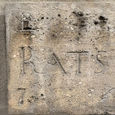 A street sign on rue de l’Hôtel-Colbert with its previous name, «Rue des Rats».
