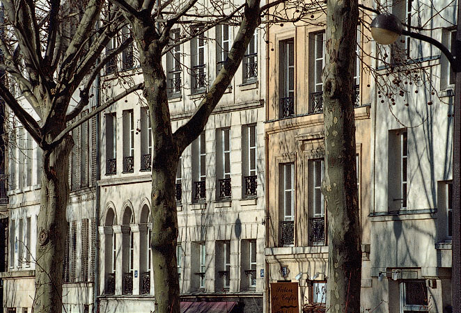 Bâtiments et arbres sur la rue de l’Hôtel de Ville.