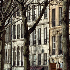 Bâtiments et arbres sur la rue de l’Hôtel de Ville.