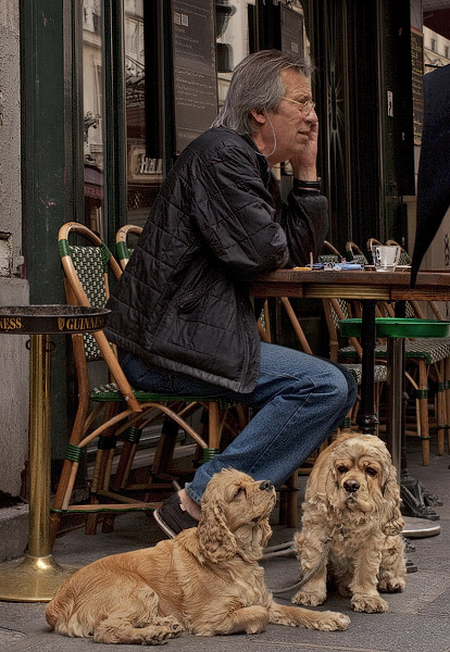 A man with two dogs on in front of a restaurant on rue Rambuteau.