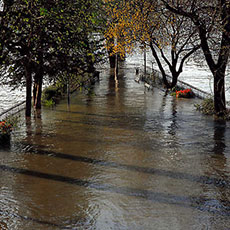 The tip of île de la Cité, covered by the floods of the River Seine.