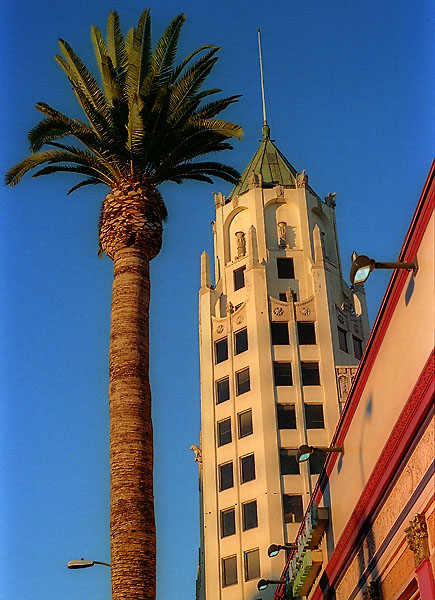 The Hollywood First National Bank on Hollywood Boulevard in Los Angeles.