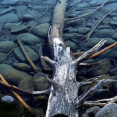Le lac Annette constitué par les eaux glacières du Parc National Jasper, Alberta.
