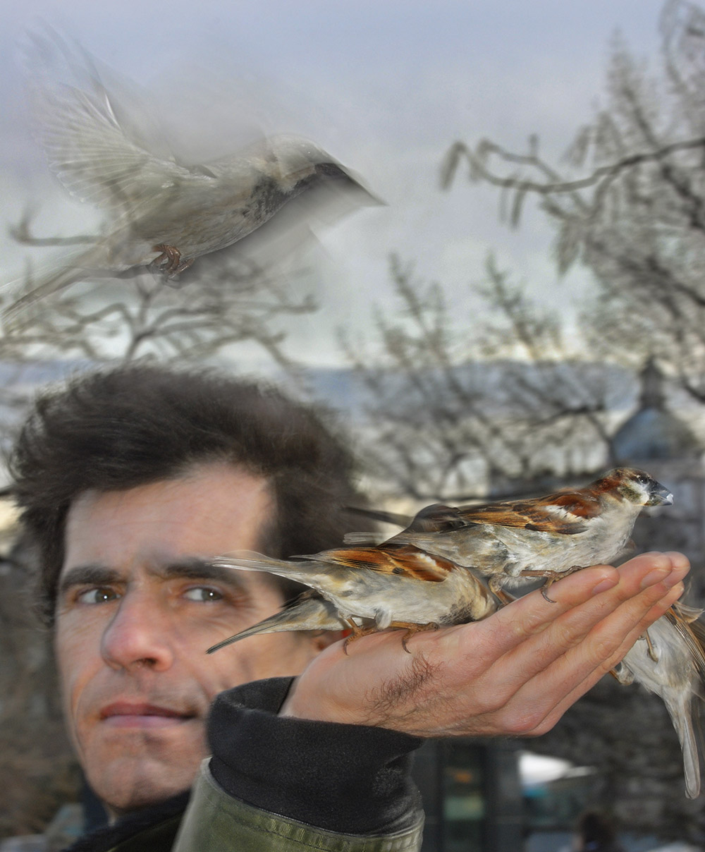 David Henry feeding sparrows in Paris.